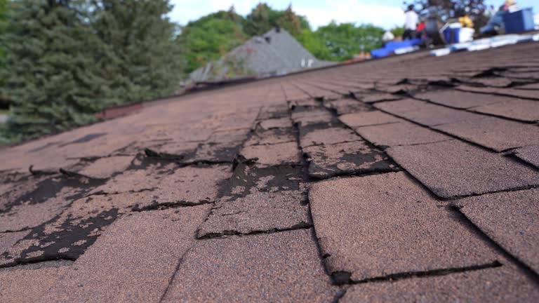 Fast & Reliable Emergency Roof Repairs in Monument Beach, MA